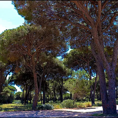 Tatil Evi Zara Ii Conil De La Frontera