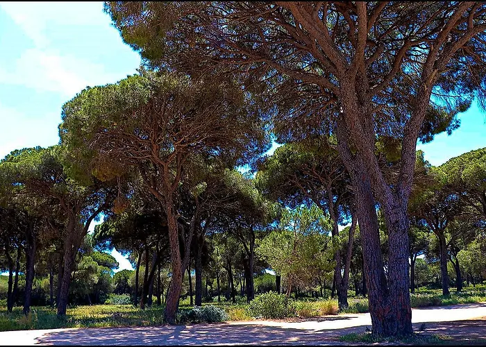 Tatil Evi Zara Ii Conil De La Frontera